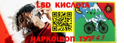 ГАЛЛЮЦИНОГЕННЫЕ ГРИБЫ Балахна