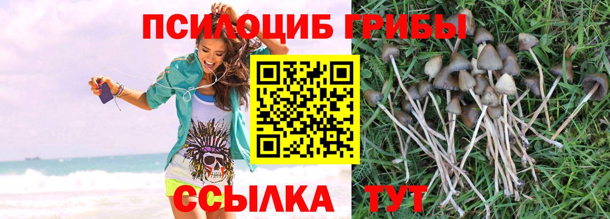 Елец  Галлюциногенные грибы GOLDEN TEACHER  Вход с VPN 