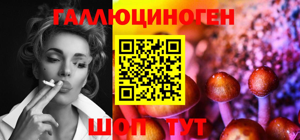 Псилоцибиновые грибы GOLDEN TEACHER Елец